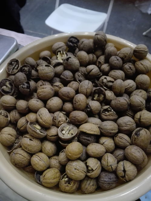 從螞蟻山到會(huì)展中心 一顆果子的鄉(xiāng)愁之旅