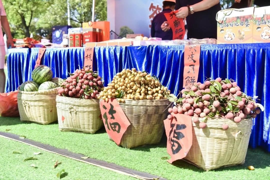 黃皮飄香，產(chǎn)業(yè)升級——從化區(qū)城郊街黃場村第二屆黃皮文化節(jié)7月2日盛情啟幕